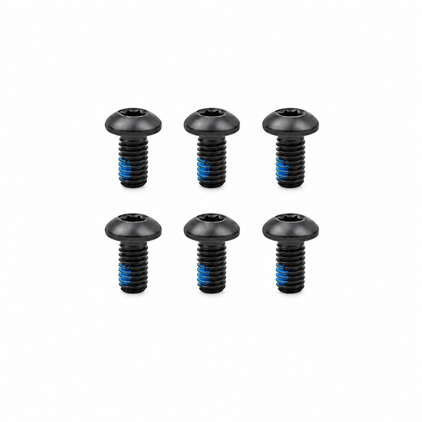 Remschijf Bouten - 6 stuks